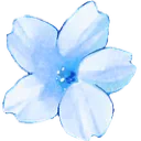 Emoji flowerblue