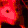 Emoji 68_Rat