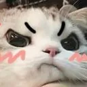 Emoji 8_Cat_Angry