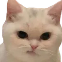 Emoji 8_Cat_mhh