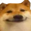 Emoji oui