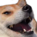 Emoji dog