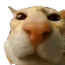 Emoji emoji_72