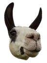 Emoji scott