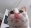 Emoji emoji_50