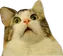 Emoji catwo