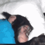 Emoji monkeysleep