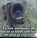 Emoji chien_de_mauvais_poil
