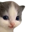 Emoji hehe