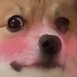 Emoji wee