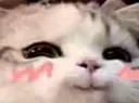 Emoji catuwu3