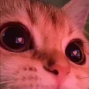 Emoji cat_love