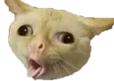 Emoji emoji_101