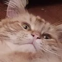 Emoji roub_wat
