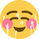Emoji faciale