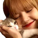 Emoji catlisa