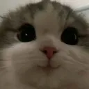 Emoji please