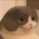 Emoji ehehcat