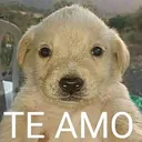 Emoji emoji_13