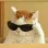 Emoji cat_swagy