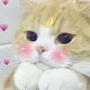 Emoji 8_cat_cute