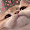 Emoji 8_cat_inloveheart