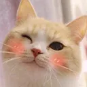 Emoji 8_cat_wink