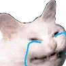 Emoji Petichat4