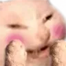 Emoji Petichat2