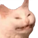Emoji Petichat1