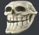 Emoji H_Troll_skull