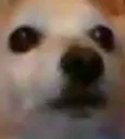 Emoji choqu