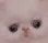 Emoji toupeticha