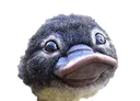 Emoji tropchou