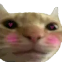 Emoji rougir