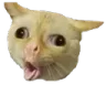 Emoji CRDCatErk