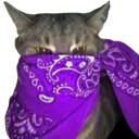 Emoji emoji_7