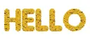 Emoji bonjour