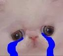 Emoji sad