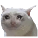 Emoji CryingCat