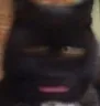 Emoji wotdehell