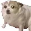 Emoji puppy