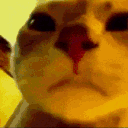 Emoji a_cat_rave