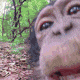 Emoji a_monkey_lick
