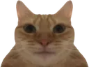 Emoji chat