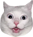 Emoji 5a5a8d8d14d8c4188e0b08ef