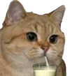 Emoji catslurp