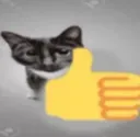 Emoji catlike