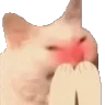 Emoji hihi