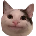 Emoji ok_cat